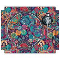 dj-skins Stanton STR8. 150 Skin SPRING INS FELD