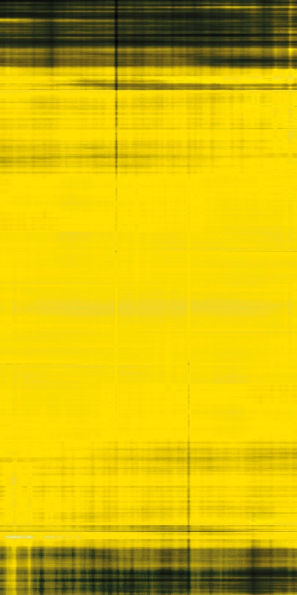 Vestax PMC 06 Skin Blacknyellow
