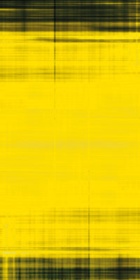 Native Instruments S2 MK1 Skin Blacknyellow