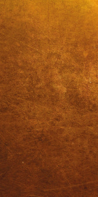 Pioneer DJ CDJ 1000 MK3 Skin Copper