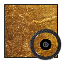 dj-skins Design GOLDEN TREASURE