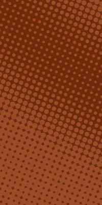 Reloop Terminal Mix 2 Skin Gradienter Brown