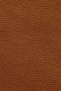Akai Pro AFX Skin Leather
