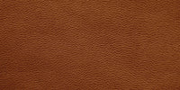 Adam Audio A3X Skin Leather