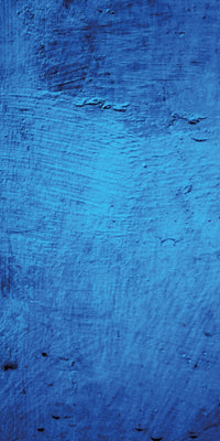 Native Instruments S2 MK1 Skin Ocean