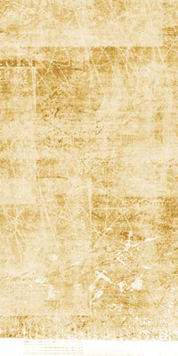 Native Instruments S2 MK1 Skin Reverb