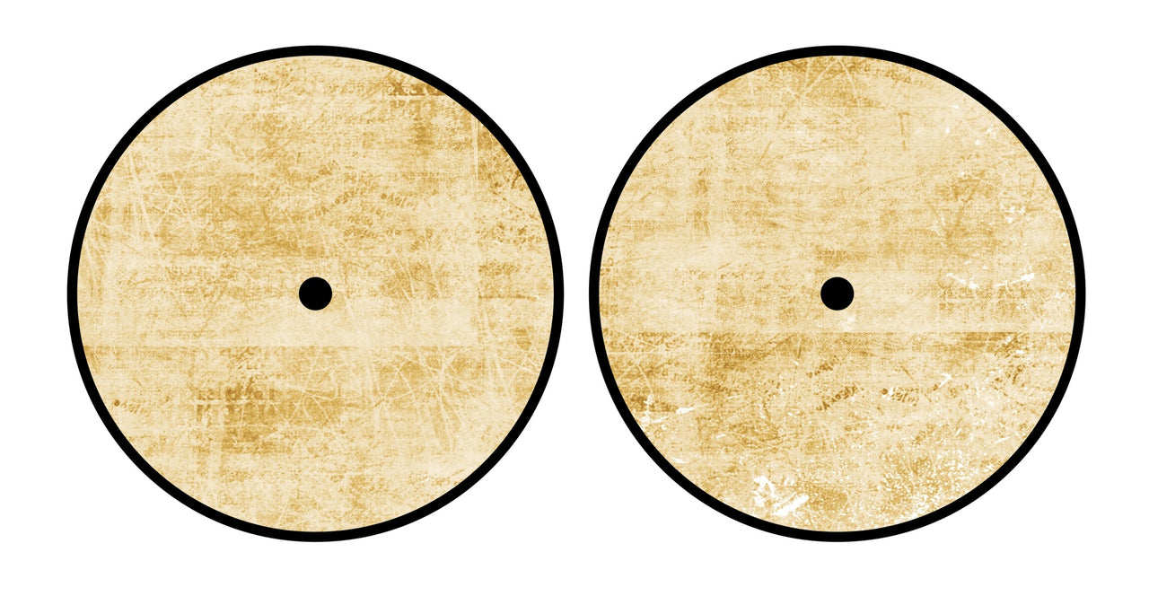 Universal Vinyl Labelsticker (10.2 cm - REGULAR) Skin Reverb