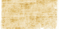 Adam Audio A3X Skin Reverb
