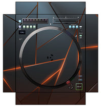 Rane TWELVE MK2 Skin Rifter Orange