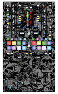 Rane 72 Skin Skull