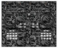 Native Instruments S4 MK1 Skin Skull