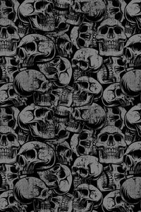 Akai Pro APC 20 Skin Skull