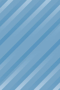 Akai Pro AFX Skin Striper