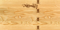 Reloop RP 7000 MK2 Skin Thudrumble Wood